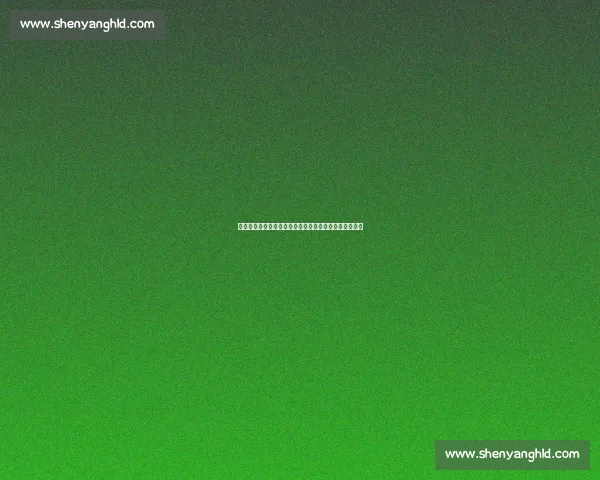 海纳力挺赫内斯：马特乌斯的转会费言论荒谬且不负责任