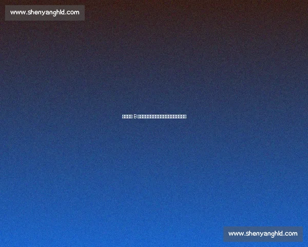 纽卡锋线 B 计划曝光：维萨若告吹，锁定两大新星补强