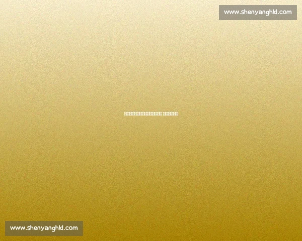 曼城天才中卫雷斯租借加盟赫罗纳 租期至赛季末