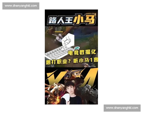 马卡拉vs德芬强强对话揭示战术博弈与胜负关键走向未来格局前瞻