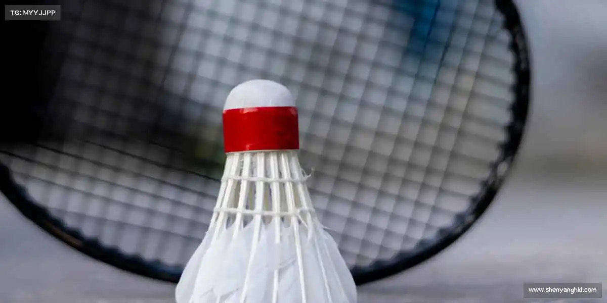 <strong>ub8优游</strong>挑战自我，汗水铸就非凡！💪