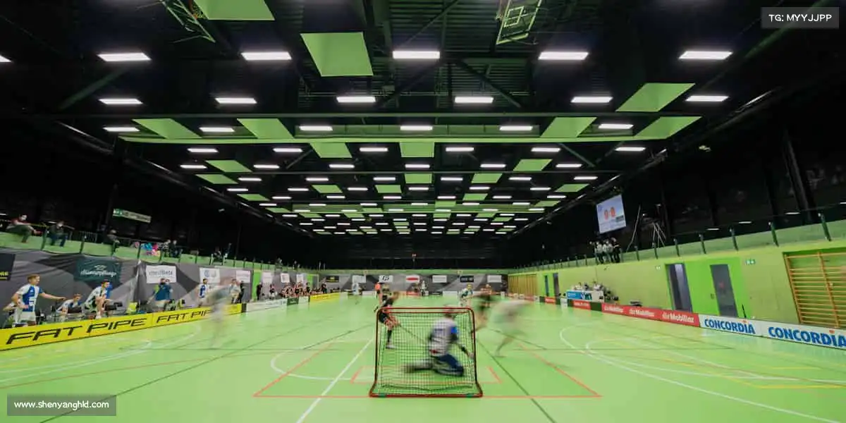 为什么选择我们